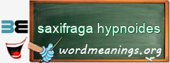 WordMeaning blackboard for saxifraga hypnoides